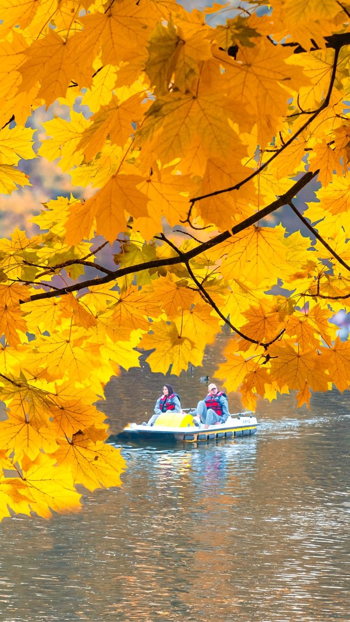 Красоту осени показал фотограф из Алматы